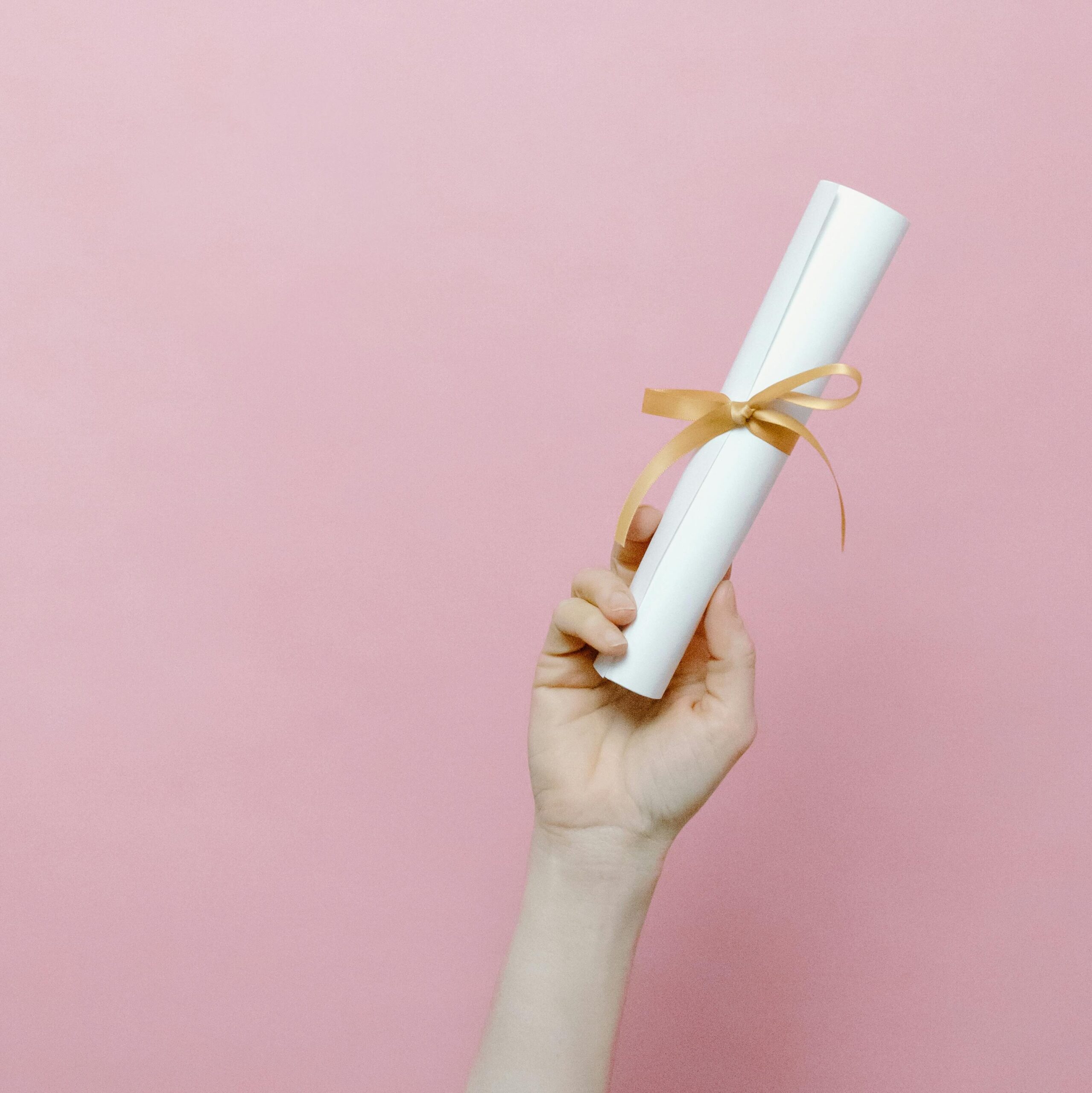 A hand holding a rolled diploma tied with a ribbon against a pink background.